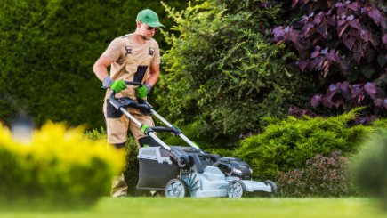 Professional cleaning and property services in Ashburton Melbourne