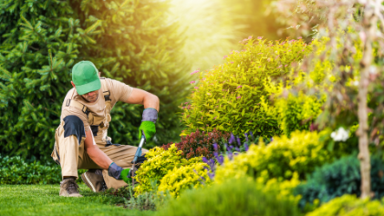 Gardening & Grounds Maintenance Melbourne